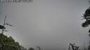 ./images/calvert/fitz-hugh-hecate/20260628/fitz-hugh-hecate20260628_215001M.jpg