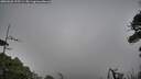 ./images/calvert/fitz-hugh-hecate/20260628/fitz-hugh-hecate20260628_215501M.jpg