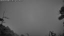 ./images/calvert/fitz-hugh-hecate/20260629/fitz-hugh-hecate20260629_044001M.jpg
