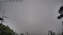 ./images/calvert/fitz-hugh-hecate/20260629/fitz-hugh-hecate20260629_051002M.jpg