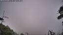 ./images/calvert/fitz-hugh-hecate/20260629/fitz-hugh-hecate20260629_060002M.jpg
