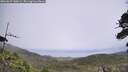 ./images/calvert/fitz-hugh-hecate/20260629/fitz-hugh-hecate20260629_140002M.jpg