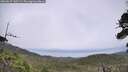 ./images/calvert/fitz-hugh-hecate/20260629/fitz-hugh-hecate20260629_140501M.jpg