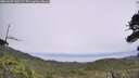 ./images/calvert/fitz-hugh-hecate/20260629/fitz-hugh-hecate20260629_141502M.jpg