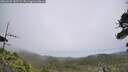 ./images/calvert/fitz-hugh-hecate/20260629/fitz-hugh-hecate20260629_143501M.jpg