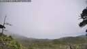 ./images/calvert/fitz-hugh-hecate/20260629/fitz-hugh-hecate20260629_144002M.jpg
