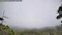 ./images/calvert/fitz-hugh-hecate/20260629/fitz-hugh-hecate20260629_145001M.jpg