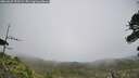 ./images/calvert/fitz-hugh-hecate/20260629/fitz-hugh-hecate20260629_153501M.jpg