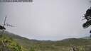 ./images/calvert/fitz-hugh-hecate/20260629/fitz-hugh-hecate20260629_154001M.jpg