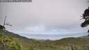 ./images/calvert/fitz-hugh-hecate/20260629/fitz-hugh-hecate20260629_160001M.jpg