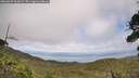 ./images/calvert/fitz-hugh-hecate/20260629/fitz-hugh-hecate20260629_164501M.jpg