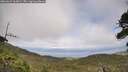 ./images/calvert/fitz-hugh-hecate/20260629/fitz-hugh-hecate20260629_165001M.jpg