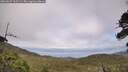 ./images/calvert/fitz-hugh-hecate/20260629/fitz-hugh-hecate20260629_165501M.jpg