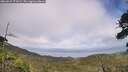 ./images/calvert/fitz-hugh-hecate/20260629/fitz-hugh-hecate20260629_171001M.jpg
