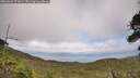 ./images/calvert/fitz-hugh-hecate/20260629/fitz-hugh-hecate20260629_172001M.jpg