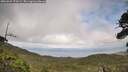 ./images/calvert/fitz-hugh-hecate/20260629/fitz-hugh-hecate20260629_173501M.jpg