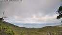 ./images/calvert/fitz-hugh-hecate/20260629/fitz-hugh-hecate20260629_174002M.jpg