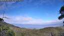 ./images/calvert/fitz-hugh-hecate/20260629/fitz-hugh-hecate20260629_175501M.jpg