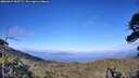 ./images/calvert/fitz-hugh-hecate/20260629/fitz-hugh-hecate20260629_185501M.jpg