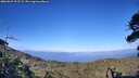 ./images/calvert/fitz-hugh-hecate/20260629/fitz-hugh-hecate20260629_192502M.jpg