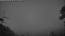 ./images/calvert/fitz-hugh-hecate/20260629/fitz-hugh-hecate20260629_224501M.jpg
