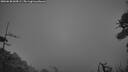 ./images/calvert/fitz-hugh-hecate/20260630/fitz-hugh-hecate20260630_044502M.jpg