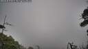 ./images/calvert/fitz-hugh-hecate/20260630/fitz-hugh-hecate20260630_071001M.jpg