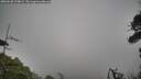 ./images/calvert/fitz-hugh-hecate/20260630/fitz-hugh-hecate20260630_074001M.jpg