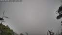 ./images/calvert/fitz-hugh-hecate/20260630/fitz-hugh-hecate20260630_080502M.jpg