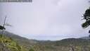 ./images/calvert/fitz-hugh-hecate/20260630/fitz-hugh-hecate20260630_123502M.jpg