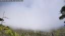 ./images/calvert/fitz-hugh-hecate/20260630/fitz-hugh-hecate20260630_145002M.jpg