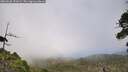 ./images/calvert/fitz-hugh-hecate/20260630/fitz-hugh-hecate20260630_151002M.jpg