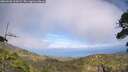 ./images/calvert/fitz-hugh-hecate/20260630/fitz-hugh-hecate20260630_161001M.jpg