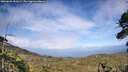 ./images/calvert/fitz-hugh-hecate/20260630/fitz-hugh-hecate20260630_181001M.jpg