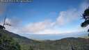 ./images/calvert/fitz-hugh-hecate/20260630/fitz-hugh-hecate20260630_191501M.jpg