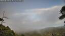 ./images/calvert/fitz-hugh-hecate/20260630/fitz-hugh-hecate20260630_202001M.jpg