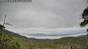 ./images/calvert/fitz-hugh-hecate/20260701/fitz-hugh-hecate20260701_065002M.jpg