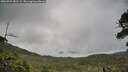 ./images/calvert/fitz-hugh-hecate/20260701/fitz-hugh-hecate20260701_081502M.jpg