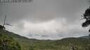 ./images/calvert/fitz-hugh-hecate/20260701/fitz-hugh-hecate20260701_083501M.jpg
