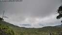 ./images/calvert/fitz-hugh-hecate/20260701/fitz-hugh-hecate20260701_084502M.jpg