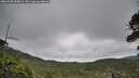 ./images/calvert/fitz-hugh-hecate/20260701/fitz-hugh-hecate20260701_090001M.jpg