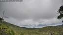 ./images/calvert/fitz-hugh-hecate/20260701/fitz-hugh-hecate20260701_091001M.jpg