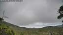 ./images/calvert/fitz-hugh-hecate/20260701/fitz-hugh-hecate20260701_094001M.jpg