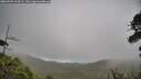 ./images/calvert/fitz-hugh-hecate/20260701/fitz-hugh-hecate20260701_103002M.jpg