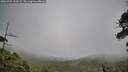 ./images/calvert/fitz-hugh-hecate/20260701/fitz-hugh-hecate20260701_103501M.jpg