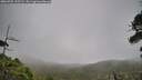 ./images/calvert/fitz-hugh-hecate/20260701/fitz-hugh-hecate20260701_105502M.jpg