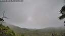 ./images/calvert/fitz-hugh-hecate/20260701/fitz-hugh-hecate20260701_110001M.jpg