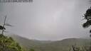 ./images/calvert/fitz-hugh-hecate/20260701/fitz-hugh-hecate20260701_110501M.jpg
