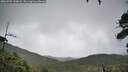 ./images/calvert/fitz-hugh-hecate/20260701/fitz-hugh-hecate20260701_123002M.jpg