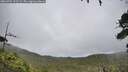 ./images/calvert/fitz-hugh-hecate/20260701/fitz-hugh-hecate20260701_133501M.jpg